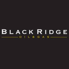 Allied Gaming & Entertainment (Black Ridge Acquisition) logo