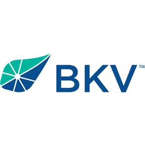 BKV IPO News - US natural gas producer BKV sets terms for $300 million ...